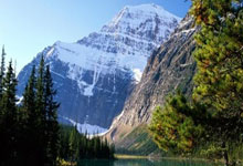 奇异果app电视版下载,奇异果tv电视版下载